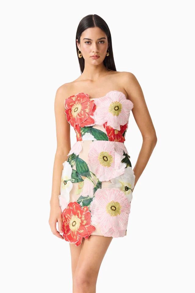 Elliatt Solara Mini Dress - Red & Pink Multi - Image 6