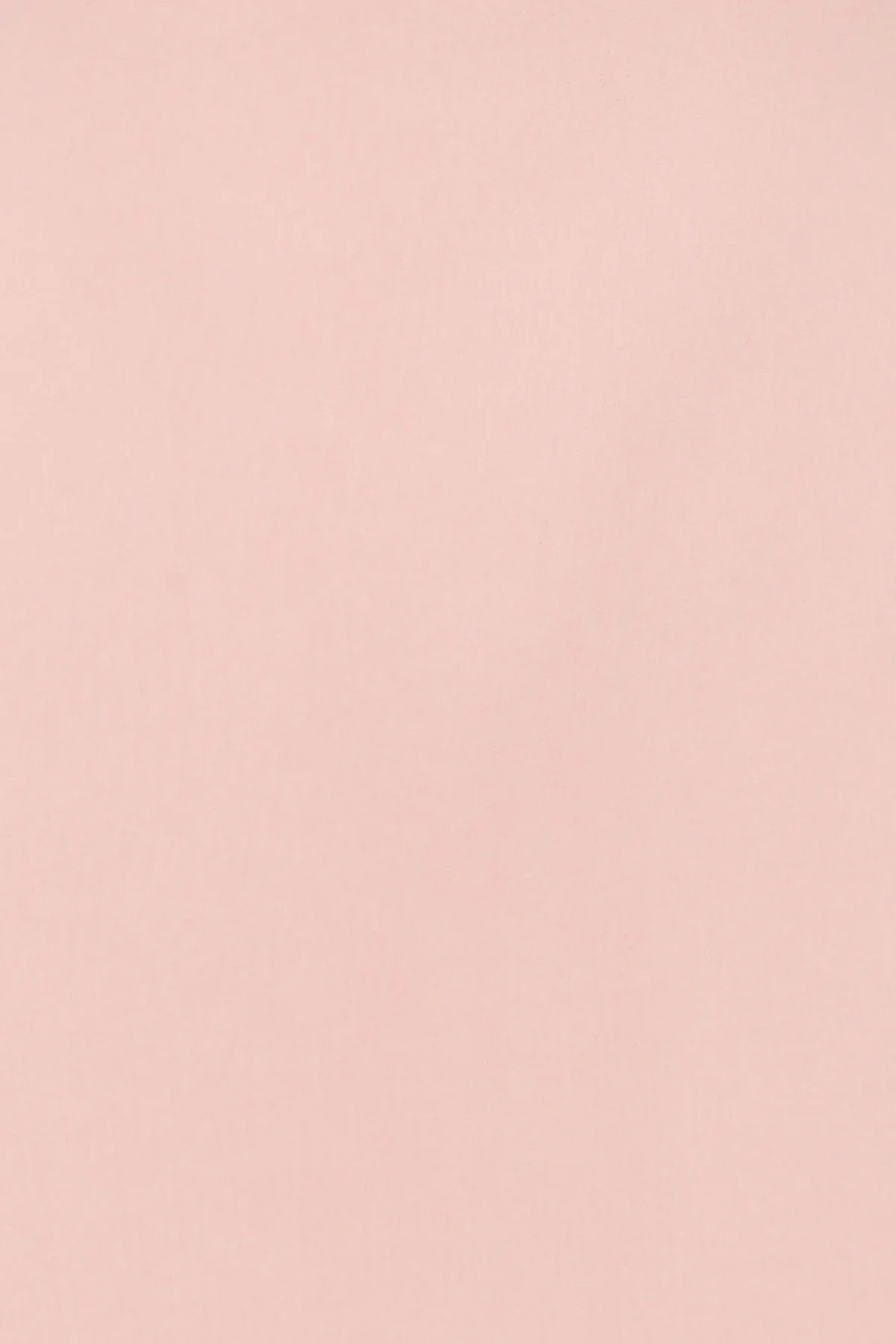 Leo Lin Elyse Appliqué Short Sleeve Mini Dress - Light Pink - Image 6