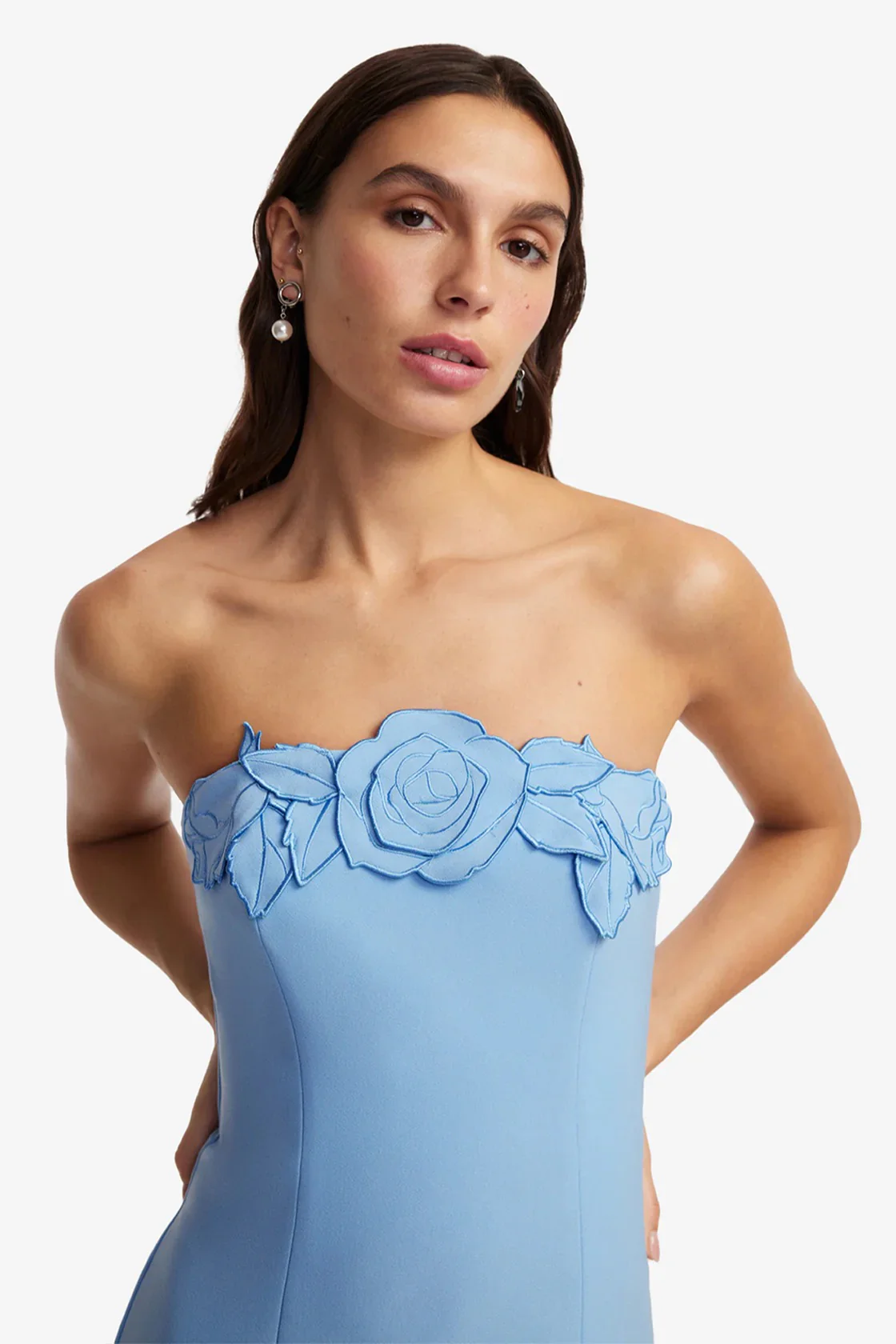 Leo Lin Rayna Appliqué Bustier Maxi Dress - Pastel Blue - Image 5