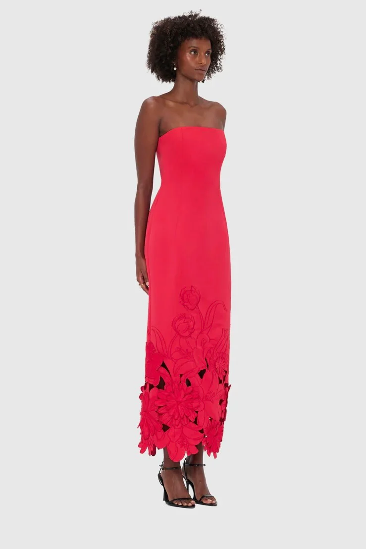 Leo Lin Rayna Appliqué Bustier Maxi Dress - Rosa - Image 3