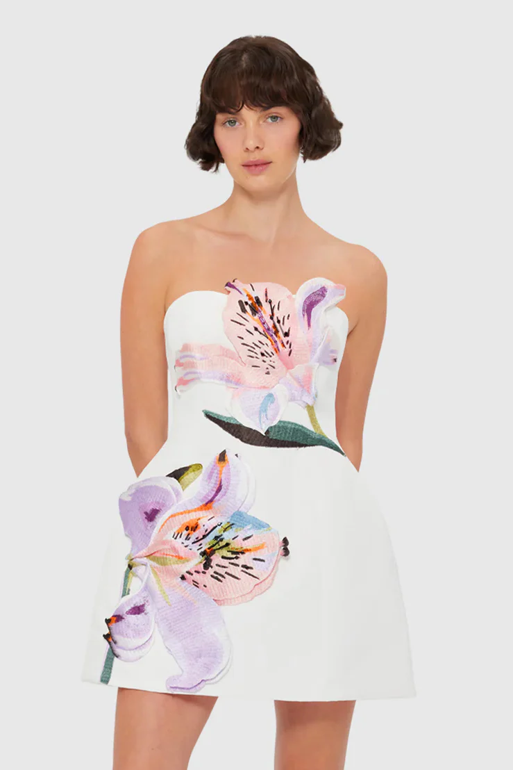 Leo Lin Rosario Appliqué Bustier Mini Dress - Lily Print in Snow - Image 2