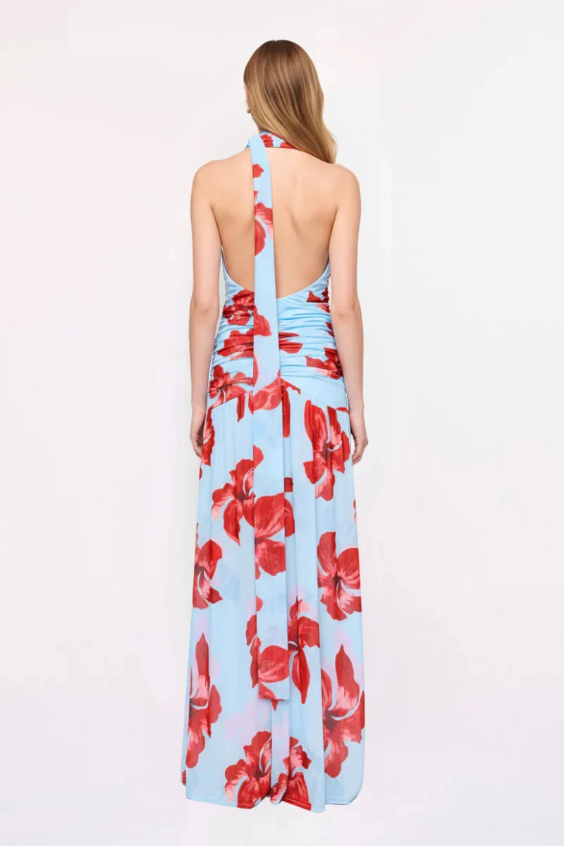 Suboo Chloe Floral Halter Mesh Maxi Dress - Blue & Pink - Image 4